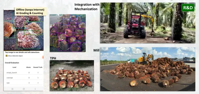 semaiALESIA offline AI grading and counting on a phone, at the TPH and the mill, with integration into mechanization