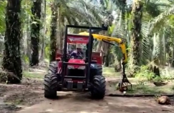 Tractor with a yellow grab arm picking up a fruit bunch between oil palms