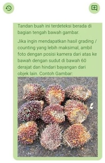 semaiX Binar chat on Android: Binar answers in Indonesian about a photo of fresh fruit bunches, with advice for better grading and counting and an example photo