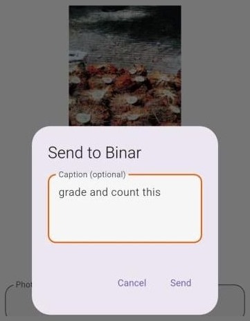 semaiX Send to Binar dialog over a photo of fruit bunches, with the caption grade and count this